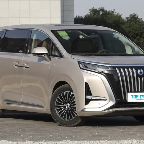 DENZA D9 – Ready for Export From China | EVOVED