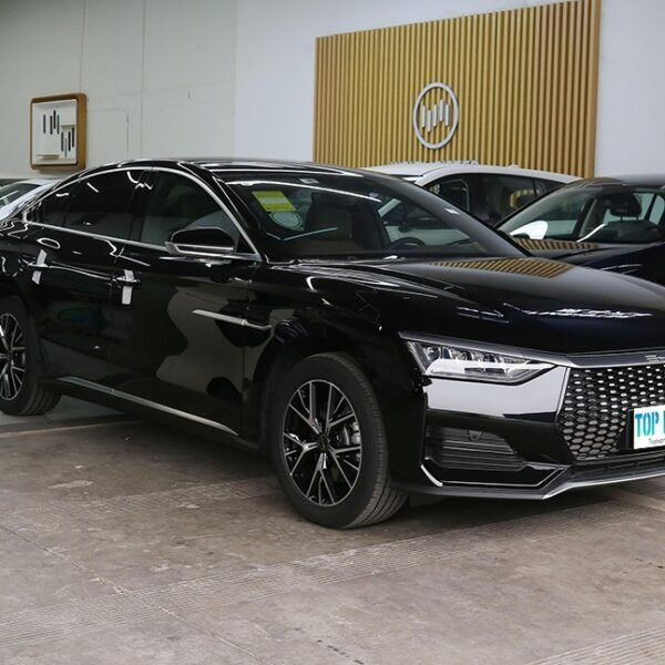BYD E9 – Ready for Export From China | EVOVED
