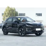 Neta X 500 – For Sale From China | EVOVED - Image 11